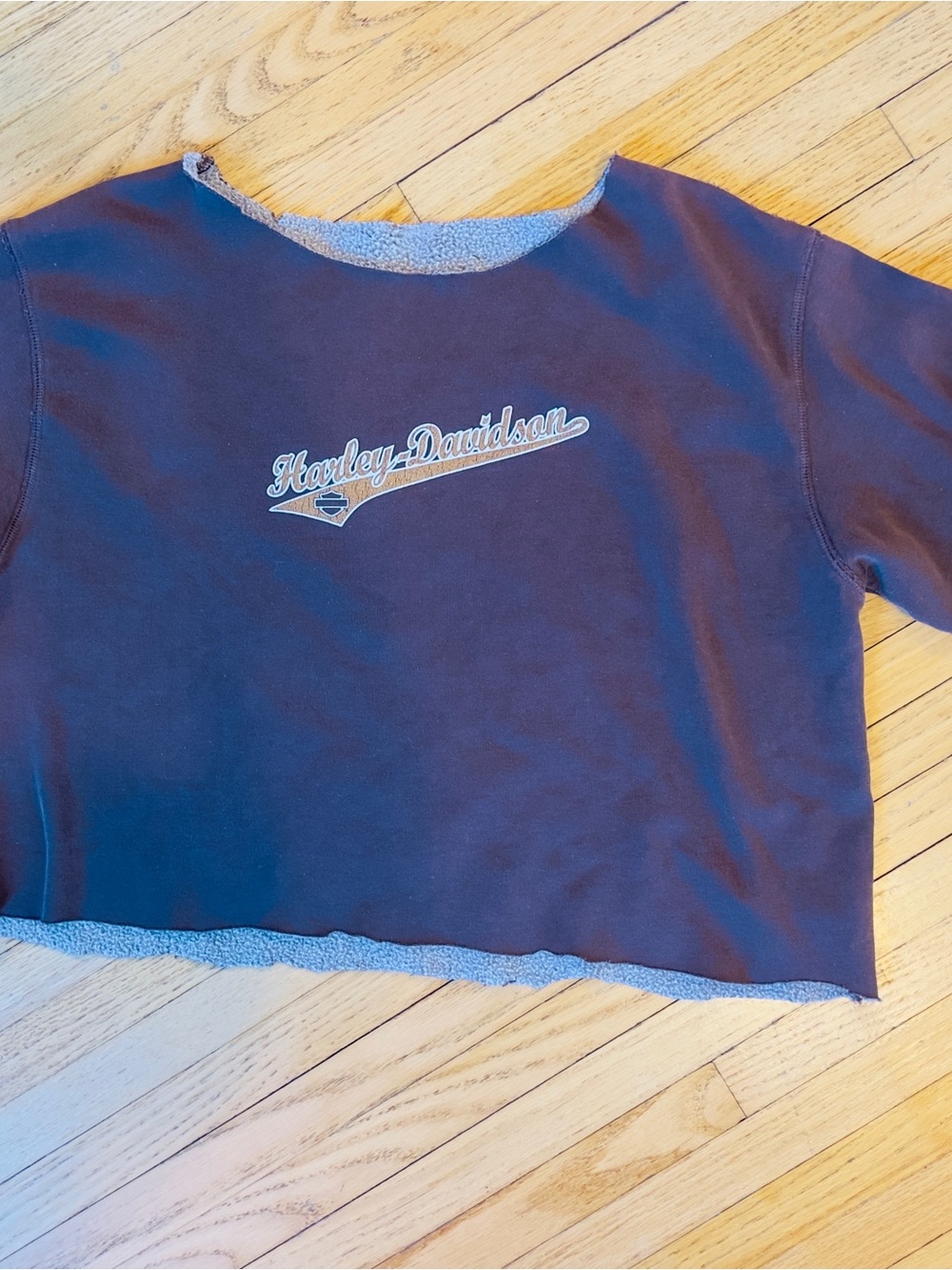 Vintage Harley-Davidson Brown Cropped Sweatshirt with Script Logo